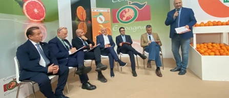 Arancia Rossa di Sicilia, sfide e opportunità-image