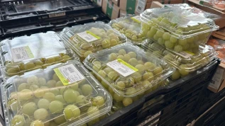 Uva e-commerce Italia: crescono i prezzi medi, +3,3%