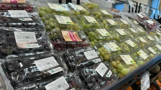 Uva e-commerce: vola il prezzo della rossa con semi (+20,3%)