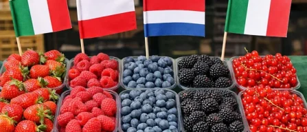 Ingrosso piccoli frutti: ancora Italia, più Polonia e Olanda-image