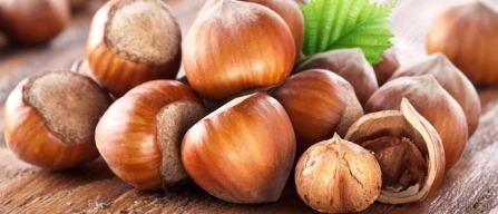 Campagna 2026, ecco alcuni prezzi per le nocciole italiane-image