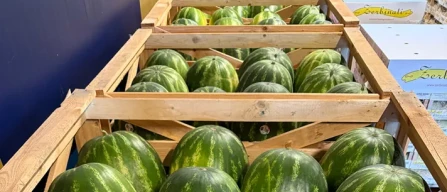 Dai mercati: ortaggi sotto l'euro, male angurie e meloni-image