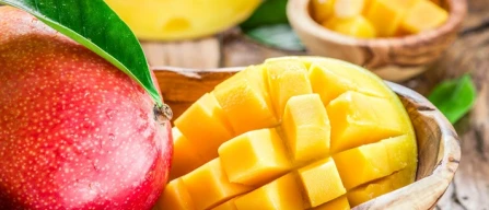 Mango europeo, stagione breve e numeri in crescita-image