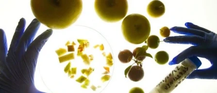 Svolta in agricoltura: Senato approva risoluzione Tea-image