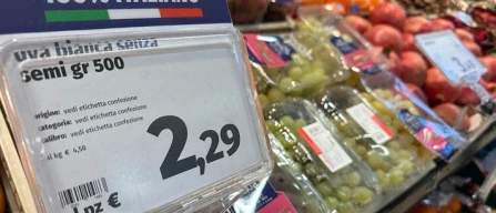 Uva da tavola, 10 anni sprecati. E siamo a parlare di 0,99-image