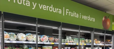 Spagna, Charter rinnova i reparti refrigerati-image
