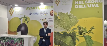 Uva da tavola, Del Core:" Un mercato che cambia"-image
