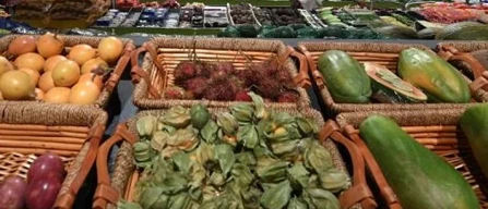 Prosol: Ardian cede ai fondi Apollo la maggioranza-image