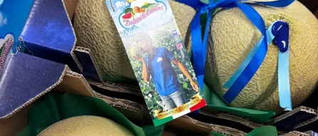 Dai mercati: ortaggi bassi, ok frutta, listino esotico-image