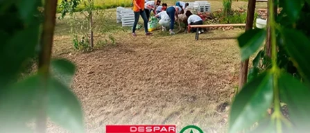 Despar semina biodiversità e inclusione sociale-image