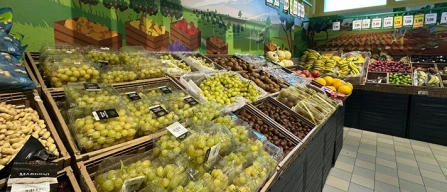 Uva e-commerce Italia: prezzi giù, media a 5,82 euro/kg-image