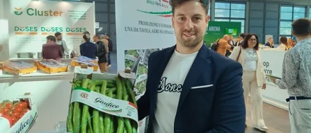 Polonia un mercato fertile per gli ortaggi siciliani-image