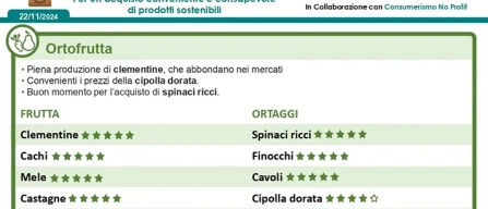 Borsa della Spesa: il maltempo fa salire i prezzi-image