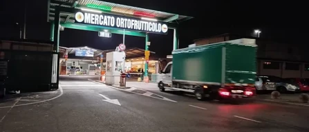 I mercati aspettano la primavera, l'analisi da Bergamo-image