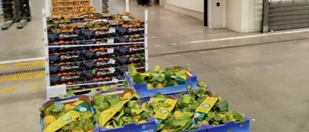 Dai mercati: sostenuti pomodori e asparagi, prime angurie-image