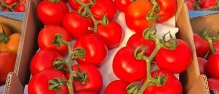 Dai mercati: sempre su i pomodori, rialzo pure per le banane-image
