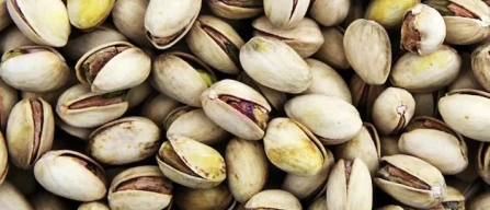 Pistacchio di Stigliano, il territorio elemento distintivo-image