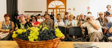 Uva da tavola, export vicino al miliardo-image