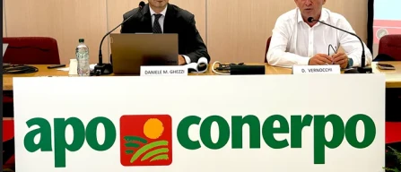 Apo Conerpo: bilancio da 500 milioni, ok frutta 2026-image