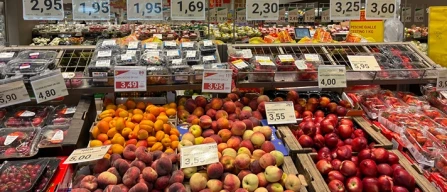 Piccoli frutti, Brescia: scaffali pieni e prezzi competitivi-image