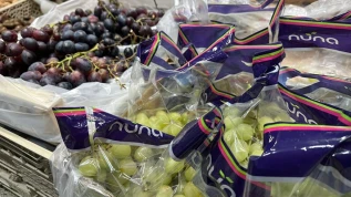 Uva e-commerce Italia: il prezzo medio sale a 6,39 euro/kg