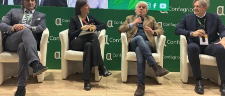 Berlino, il punto sull'export di ortofrutta made in Italy-image