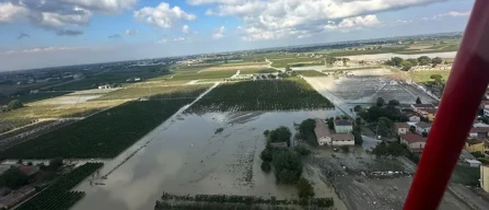 Emilia Romagna: fondi per i giovani in agricoltura-image