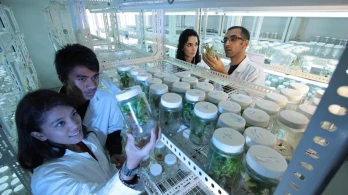 Tea, arriva l'accordo Ue