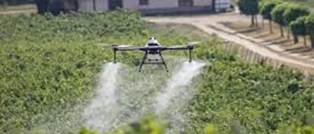 In Francia torna pesticida vietato: "Si usa in altri Paesi"-image