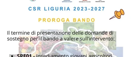 Liguria: 24 milioni per giovani e investimenti produttivi-image