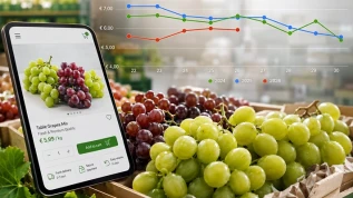 Uva da tavola, oltre il prezzo: arriva Planner