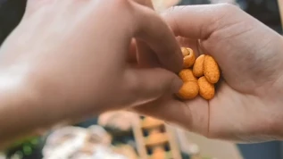 Lidl rilancia Alesto: la frutta a guscio come leva di marca