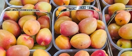 Dai mercati: arriva buco meloni, ortaggi in leggera risalita-image