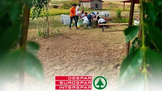 Despar semina biodiversità e inclusione sociale