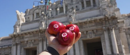 RedPop port lo spirito "Snack Me" nell'estate europea-image