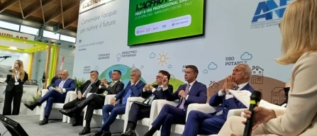 Macfrut, su il sipario-image