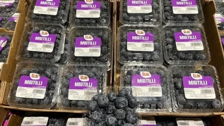 Dole Italia, mirtilli freschi disponibili tutto l’anno