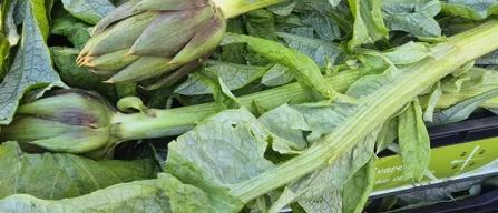 Car, la domanda si orienta verso agrumi e carciofi-image