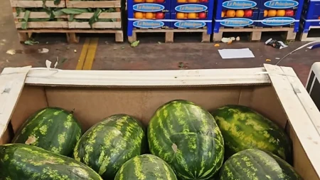 Borsa della spesa: tempo di frutta estiva