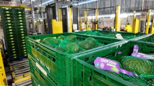 Aldi, in UK il super hub dell'ortofrutta