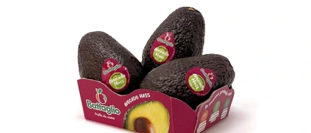 Battaglio, ecco il pack che educa-image