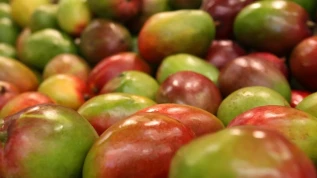 Il frutto dell’estate? E' il mango, parola di de Bortoli