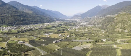 Melavì, situazione critica per la Cooperativa-image