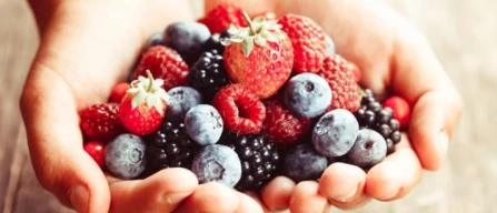 Christine Weiser: "Mangiare ortofrutta rende saggi"-image