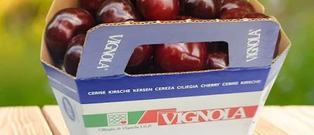 Ciliegia di Vignola Igp: il pack che educa e tutela-image