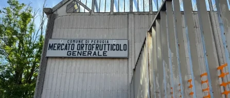 Esselunga la vince, ok del Tar al super in Umbria-image
