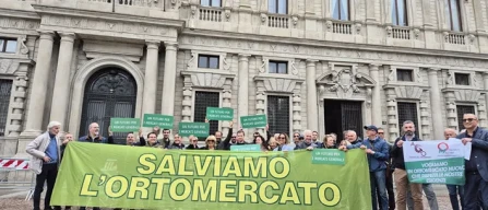 Ingrosso Milano e Torino, confronto tra enti e grossisti-image