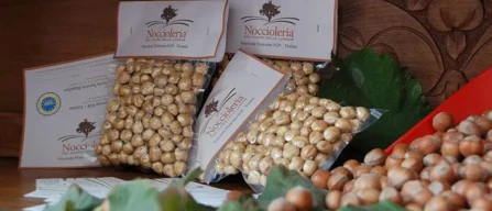 Nocciole: qualità prima di tutto, ma anche cooperazione-image