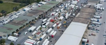 Pomodori e cocaina? Mercato di Vittoria: "Non c'è evidenza"-image