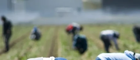 L'Emilia Romagna dichiara lotta al caporalato-image